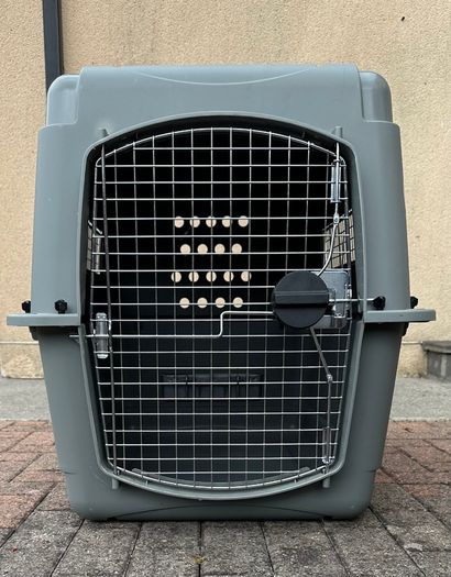 Sky Kennel / Travel Crate