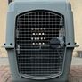 Sky Kennel / Travel Crate Image 2