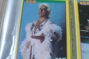 Vintage wwf cards