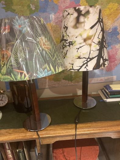 Will sell separately- Solid Dark Wood Pillar Lamp ( with chrome base ) with a lovely green floral / foliage brand new shade - And K Amsterdam