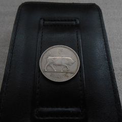 Irish Shilling