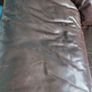Free Sofas Image 4