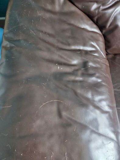 Free Sofas
