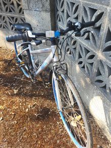 Pendleton Briary Ladies Bike