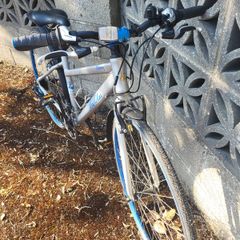 Pendleton Briary Ladies Bike