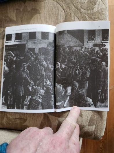 The Irish Famine. An Illustrated History By Helen Litton. First Edition Paperback In Good Condition.