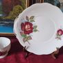 20 Piece Queen Anne Opera Pattern Bone China Gold Gilt Tea Set For 6 Person Setting Made In England Image 4