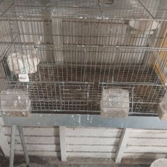 Cage