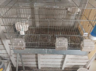 Cage