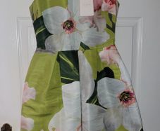 Ted Baker dress