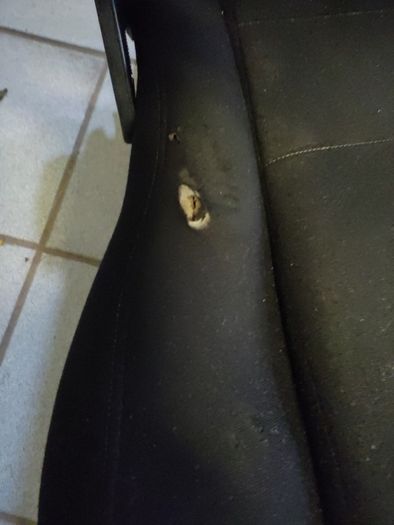 car interior