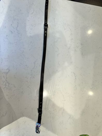 Dolce and Gabana Belt
