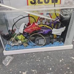 fish tank