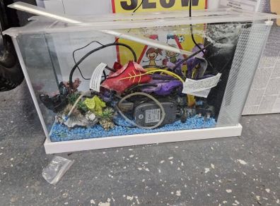 fish tank
