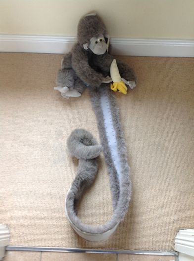 Monkey Height Measuring Wall Hanger