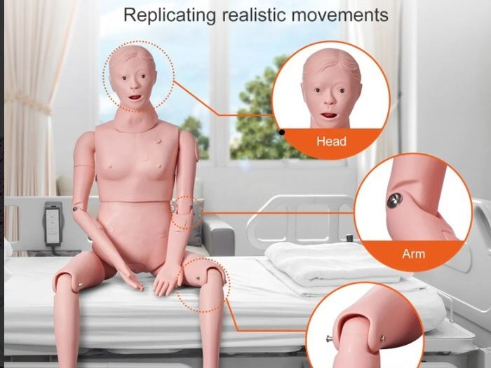 Nursing Training Manikin  Life Size Male or Female Patient Care Simulator for Education & Clinical Skills Training