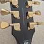 Esp Ltd Ec-256 Black Image 4