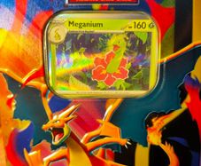 Mega Evolutions Quick Starter Pack
