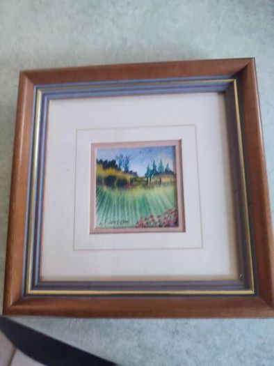 Small framed Watercolours by Elizabeth Finnegan