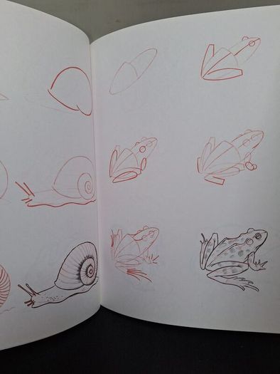 SALE! Set of 4 DRAW 50 drawing books: Dinosaurs, Flowers, Animals and Endangered Animals