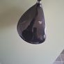 King Cobra Driver Image 2