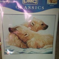 Cross stitch kit