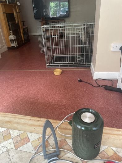 Crate Large