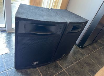 Peavey ST-15 passive speakers