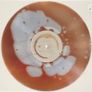 Sabrina Carpenter Espresso 2 Year Anniversary Edition espresso-filled LP Record Glitter Sleeve Hand Numbered Collectible Vinyl Image 4