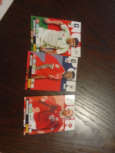 panini world cup cards