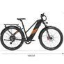 Lankeleisi MX600 Pro Electric Trekking Bike Image 9