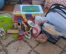 Dwarf hamster starter kit