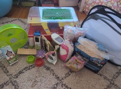 Dwarf hamster starter kit