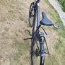 Orbea bike Image 3
