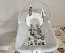 Baby bouncer