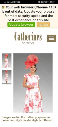 Wedding occasionwear dress 14