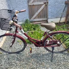 ladys bicycle