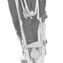 Maclaren Quest Umbrella Stroller - Black/Silver + FREE Univeral Gate Check Travel Bag Image 6