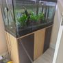 fish tank with accessories Image 2