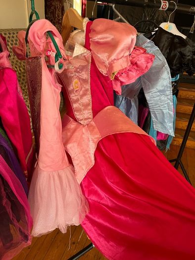 Girls dress up costume