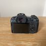 Canon R5 & Canon RF 50mm 1.8 Image 2
