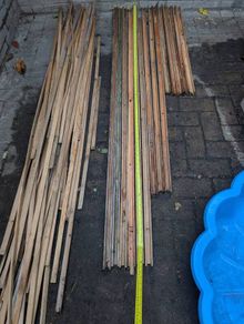 larch trellis