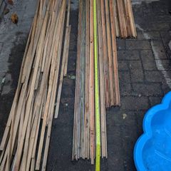 larch trellis
