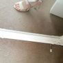 Schuh Champagne Satin Sandals with Bow Image 6
