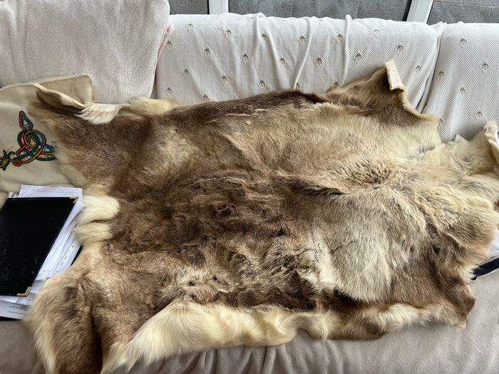deer skin