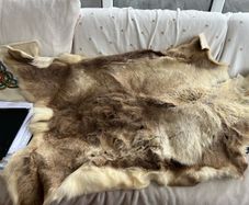 deer skin