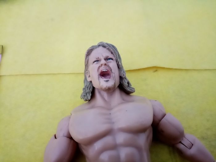 Wrestlers WWE action Figure