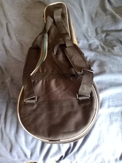 Palmer mandolin P3W  late 70s r early 80s and gigbag