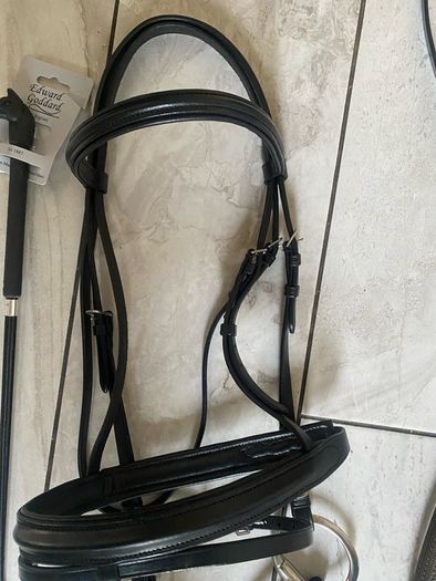 horse bridle
