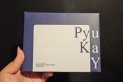 PyungKang Yul 1/3 Cotton Pads 160pcs